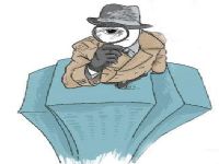 长海县寻人公司阐述拐卖儿童的可疑行为